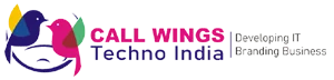 Call Wings Techno India